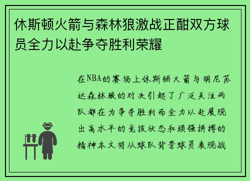休斯顿火箭与森林狼激战正酣双方球员全力以赴争夺胜利荣耀